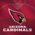 NFL Arizona Cardinals Team Jersey Surface Book 2 13.5in Skin