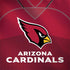 NFL Arizona Cardinals Team Jersey Surface Book 2 15in Skin