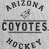 NHL Arizona Coyotes Black Text Nintendo 2DS XL (2017) Skin