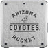 NHL Arizona Coyotes Black Text Cooler Master MasterBox Q300L Mini Tower Skin