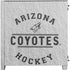 NHL Arizona Coyotes Black Text Corsair 4000D Tempered Glass Mid-Tower ATX Case Skin