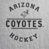 NHL Arizona Coyotes Black Text iPhone XR Skin