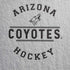 NHL Arizona Coyotes Black Text iPhone XS Max Skin