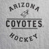 NHL Arizona Coyotes Black Text iPhone XS Pro Case