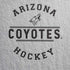NHL Arizona Coyotes Black Text iPhone XS Skin