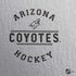 NHL Arizona Coyotes Black Text PS4 Console and Controller Bundle Skin