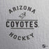 NHL Arizona Coyotes Black Text PS4 Pro Bundle Skin