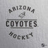NHL Arizona Coyotes Black Text PS4 Slim Bundle Skin