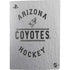 NHL Arizona Coyotes Black Text PS5 Bundle Skin