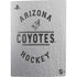 NHL Arizona Coyotes Black Text PS5 Console Skin