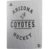 NHL Arizona Coyotes Black Text PS5 Digital Edition Bundle Skin