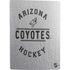 NHL Arizona Coyotes Black Text PS5 Digital Edition Bundle Skin