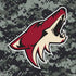 NHL Arizona Coyotes Camo PS4 Console Skin