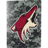 NHL Arizona Coyotes Camo PS5 Bundle Skin