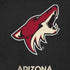 NHL Arizona Coyotes Distressed iPhone XR Skin