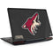 NHL Arizona Coyotes Distressed Legion Y720 Skin