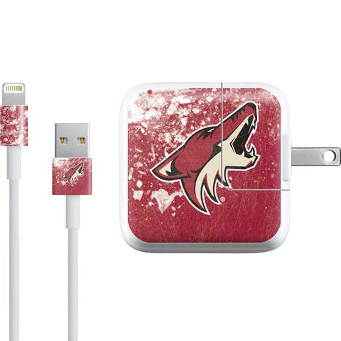 NHL Arizona Coyotes Frozen iPad Charger (10W USB) Skin