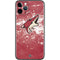 NHL Arizona Coyotes Frozen iPhone 11 Pro Skin