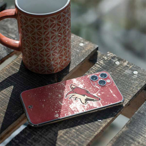 NHL Arizona Coyotes Frozen iPhone 11 Pro Skin
