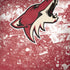 NHL Arizona Coyotes Frozen iPhone X Pro Case