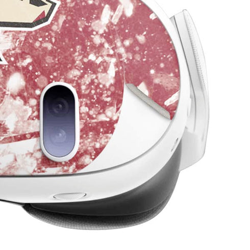 NHL Arizona Coyotes Frozen Meta Quest 3 Skin