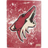 NHL Arizona Coyotes Frozen PS5 Digital Edition Bundle Skin