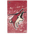 NHL Arizona Coyotes Frozen PS5 Slim Disk Bundle Skin