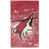 NHL Arizona Coyotes Frozen PS5 Slim Digital Edition Console Skin