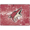 NHL Arizona Coyotes Frozen Surface Pro 9 Skin