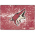NHL Arizona Coyotes Frozen Surface Pro 9 Skin