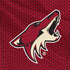 NHL Arizona Coyotes Home Jersey Nintendo 2DS XL (2017) Skin
