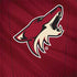 NHL Arizona Coyotes Home Jersey Galaxy Note 8 Skin