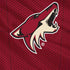 NHL Arizona Coyotes Home Jersey iPhone XR Skin