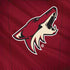 NHL Arizona Coyotes Home Jersey Moto G6 Skin
