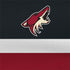 NHL Arizona Coyotes Jersey Nintendo 2DS XL (2017) Skin
