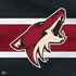 NHL Arizona Coyotes Jersey PS4 Slim Bundle Skin