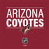 NHL Arizona Coyotes Lineup Nintendo 2DS XL (2017) Skin