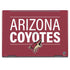 NHL Arizona Coyotes Lineup HP Envy Skin