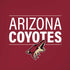 NHL Arizona Coyotes Lineup iPhone X Pro Case