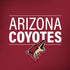 NHL Arizona Coyotes Lineup iPhone X Skin