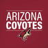 NHL Arizona Coyotes Lineup iPhone XR Pro Case