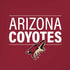 NHL Arizona Coyotes Lineup iPhone XR Skin