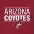 NHL Arizona Coyotes Lineup iPhone XS Max Skin