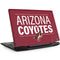 NHL Arizona Coyotes Lineup Legion Y720 Skin