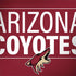 NHL Arizona Coyotes Lineup Legion Y720 Skin