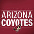 NHL Arizona Coyotes Lineup Moto G6 Skin