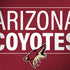 NHL Arizona Coyotes Lineup Notebook 9 Pro 13in (2017) Skin