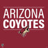 NHL Arizona Coyotes Lineup PS4 Console Skin