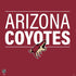 NHL Arizona Coyotes Lineup PS4 Slim Skin