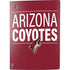 NHL Arizona Coyotes Lineup PS5 Bundle Skin